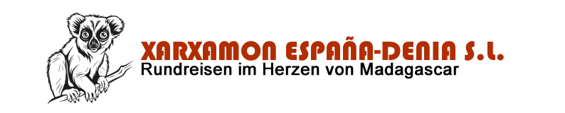 Xarxamon España-Denia S.L.